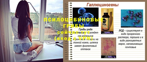 молекула духа Абдулино